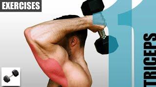 Best tricep exercises #muscle hub gym