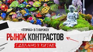 Рынок контрастов. Китайская птичка в Гуанчжоу