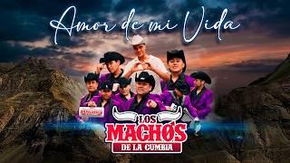 Los Machos de la Cumbia FT Yoan Amor - Amor De Mi Vida 