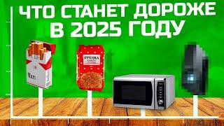 Что станет дороже в 2025 году для граждан РФ. Новые законы 2025