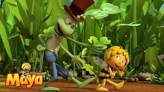 The Bee Dance - Part 2 - Maya the Bee 