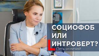 Социофоб или интроверт? Пять отличий.