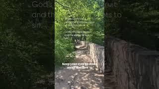 God tests to produce fruit #faithhabits #spiritualgrowth #walkingwithjesus #christianity #christ