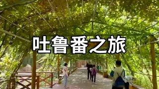 吐鲁番之旅，令人震撼的交河故城，世界文化遗产【行走世界的北京老刘】