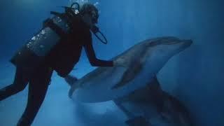 Сочи. Дайвинг. Underwater diving. Дайвинг клуб.