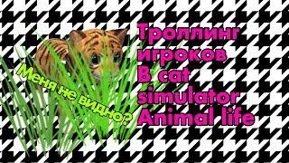 СПОСОБ ТРОЛЛИНГА ИГРОКОВ В СИМУЛЯТОР КОТА ЖИЗНЬ ЖИВОТНЫХ | CAT SIMULATOR ANIMAL LIFE TROLL!