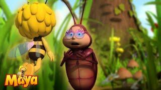 The Mysterious Cave - Maya the Bee - FULL COMPILATION
