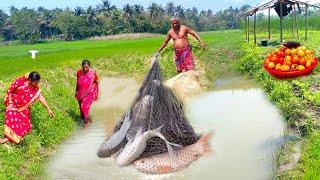 Villlage Life Indian In Spring: Fish Catching In The Pond Before Harvesting Vegetable। Making Launch