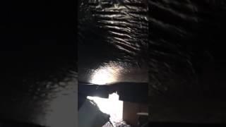 Part 2 Termite Search with Maxx Force Pest Control