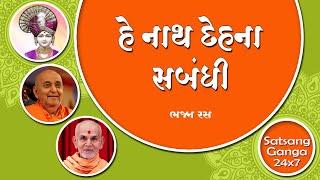 He Nath Dehna || swaminarayan most peaceful kirtan || BAPS New Kirtan