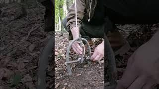 trap #bushcraft #trap #survival