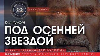 Под осенней звездой - Кнут Гамсун (читает Евгений Терновский) | аудиокнига