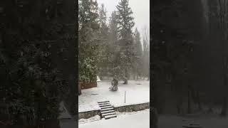 Snowfall on Winter Solstice Day - Tatry #winter #tatry #nature #snow #mountain #travel #mountains