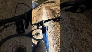 First Run on the Local Trail #mtb #downhill #focus #bikelife #mountainbike #bike #jump #first