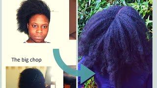 Must see Realistic NATURAL HAIR GROWTH JOURNEY | Simply Shev