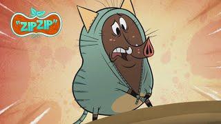 Don't do this to me, zipper | Zip Zip English | Full Episodes | 3H | S1 | Cartoon for kids