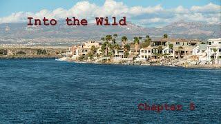 Into the Wild Chapter 5 Summary