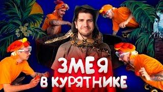 ДЖУНГЛИ: ЗМЕЯ В КУРЯТНИКЕ