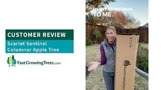 Scarlet Sentinel zuilvormige appelboom | FastGrowingTrees.com Unbox en recensie door @growediblelandscape