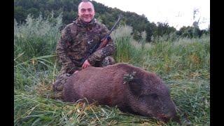 ОХОТА НА КАБАНА И КОСУЛЮ. В стране косуль Ч7. Wild boаr and roebuck hunting.