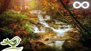 Mysterious Fantasy Music • Peaceful Harp & Flute Music with Birds Singing