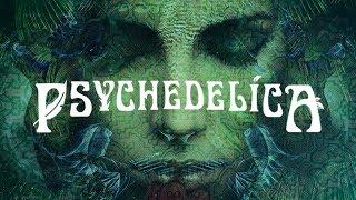 Psychedelics and Consciousness