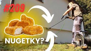 I see nuggets, some vegetables..  | WASTE CLEANER #209