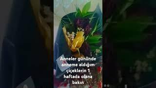 18 Haziran 2025