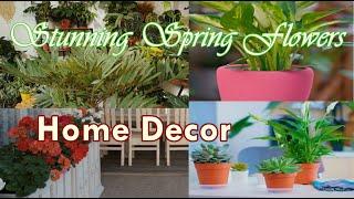 Stunning Spring Flowers for Your Home Deco