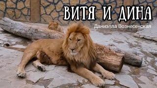 НОВЫЕ локации в "Ишачке"!️ ВИТЯ и  ДИНА отдыхают! МОНИКА купается!