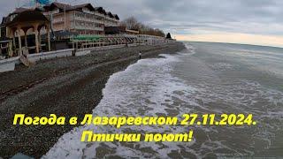 Погода в Лазаревском 27.11.2024.  Птички поют! ЛАЗАРЕВСКОЕ СЕГОДНЯСОЧИ.