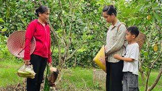 Poor girl returns the favor: Lien raises Phong to help NAM — is what she did right or wrong?