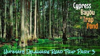 Kayaking through the Bald Cypress Bayou at Trap Pond State Park