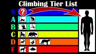 Which Animal is the Best at Climbing?