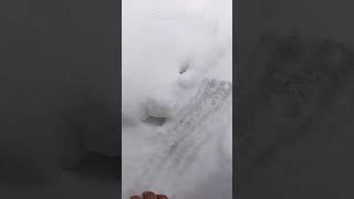 расследуем крысиные тропы | жизнь в деревне