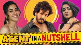 AGENT IN A NUTSHELL || Nikhil || 301 Diaries