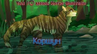 Топ 10 меме Коты-Воители: Коршун
