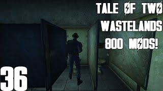 Extreme Fallout 3 & New Vegas! | Wildcard: A Tale of Two Wastelands | 800 Mods! | [36]