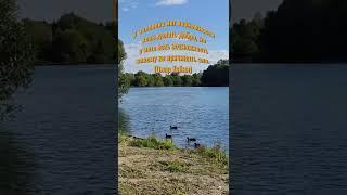 Не делай зла #мудрыемысли