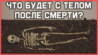 Edu: Что произойдет с телом после смерти?