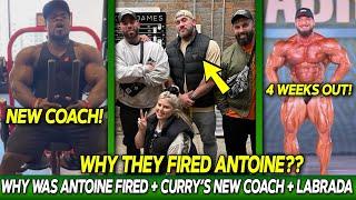 Why HD Muscle FIRED Antoine Vaillant?? + Brandon Curry's New Coach! + Hunter Labrada 4 Weeks Out!