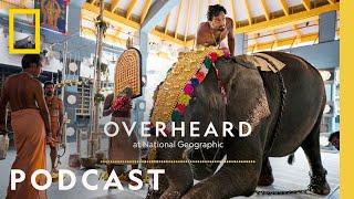 The Dark Reality Behind India’s Festival Elephants | Podcast | Overheard at National Geographic