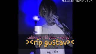 $ COLDHART $ x lil peep - Dying // Rip Gustav