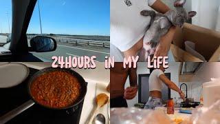 24 hours in my life