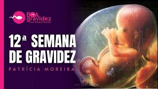 12 SEMANAS DE GRAVIDEZ - Gravidez Semana a Semana