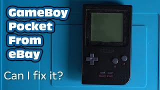 Broken Gameboy Pocket, Can I save it?