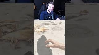 Ark Ascended - Fastest Death #ark #gaming #arksurvivalascended