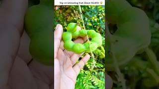 Top 10 intrusting and amazing facts about fruits & health benefits #shorts