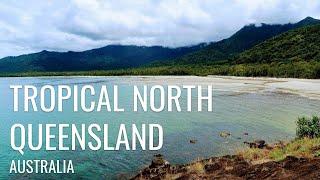 Tropical North Queensland Road Trip: Mossman, Cape Tribulation, Port Douglas, Josephine Falls & More