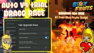  Blox Fruits Script/Hack | Auto Draco Race V4 Trial | Banana Cat Hub Script